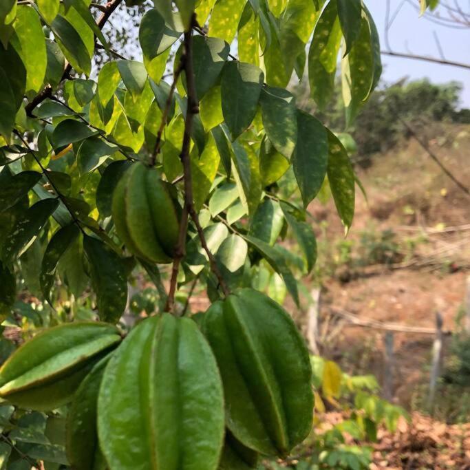 Lobville Homestay Karjat Exterior photo